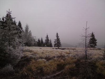 DSC02165.JPG