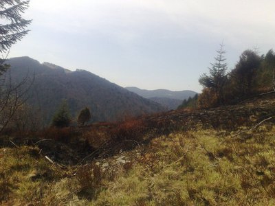 010520101309.jpg