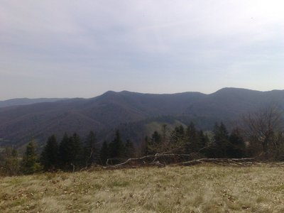 010520101311.jpg