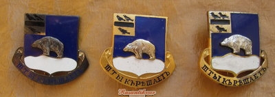 IMG_9528.jpg