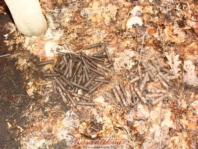 SDC15357.JPG