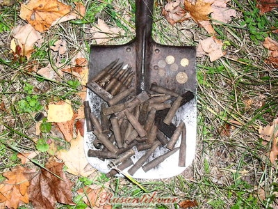 SDC15778.JPG