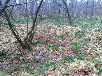 Финиш-17.jpg