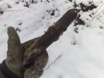 260120112874.jpg