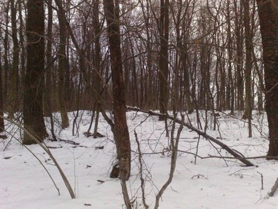 Далеко-5.jpg