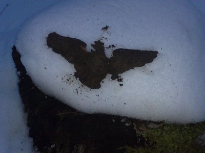100320113234.jpg