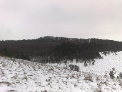 190220113124-001.jpg