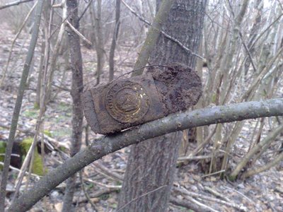 150320113273.jpg