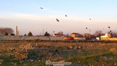 WP_20171212_16_42_32_Pro.jpg