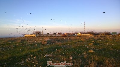 WP_20171212_16_42_24_Pro.jpg