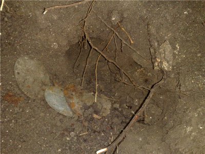 2b5fa3f6720b.jpg