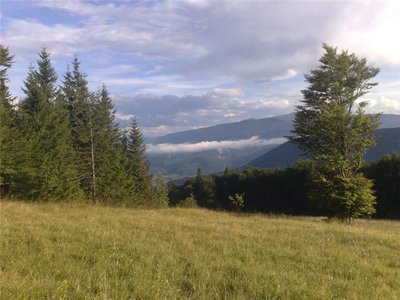 8d935b627886.jpg