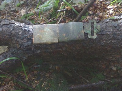 a61afa2d1c20.jpg