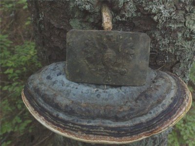 fa3d370a3646.jpg