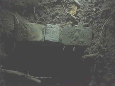 58f38bd0c084.jpg
