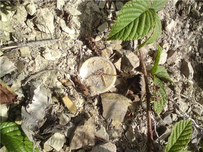 971b773d74ab.jpg (120.97 КБ) 13050 просмотров 971b773d74ab.jpg