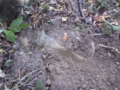 2490afbe1196.jpg (98.25 КБ) 13590 просмотров 2490afbe1196.jpg