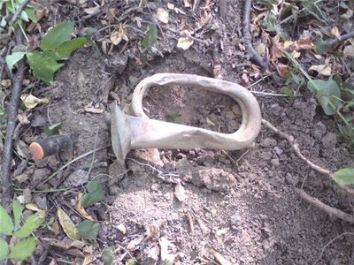 6259ac170e75.jpg (107.29 КБ) 13590 просмотров 6259ac170e75.jpg