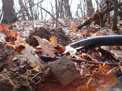 70639ff477ca.jpg (95.59 КБ) 13594 просмотра 70639ff477ca.jpg