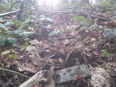 a369b1e1d2af.jpg (82.73 КБ) 13594 просмотра a369b1e1d2af.jpg