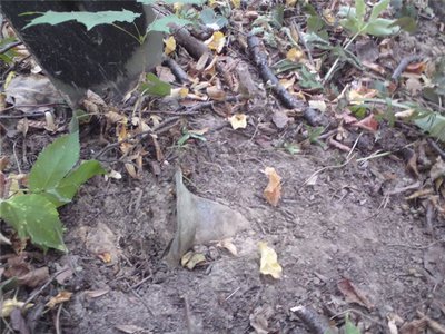 26987928fa82.jpg (94.33 КБ) 13590 просмотров 26987928fa82.jpg