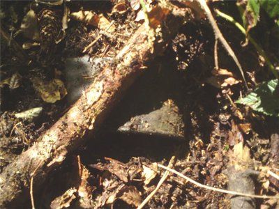 cabbe57e50b5.jpg (78.13 КБ) 13059 просмотров cabbe57e50b5.jpg