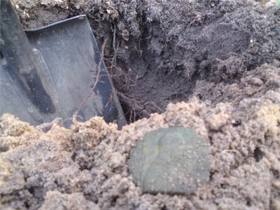 e5556a23d5f9.jpg (76.46 КБ) 13050 просмотров e5556a23d5f9.jpg