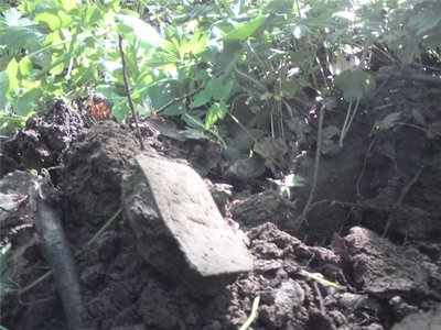 f4d2f0e4ff06.jpg (77.98 КБ) 13586 просмотров f4d2f0e4ff06.jpg