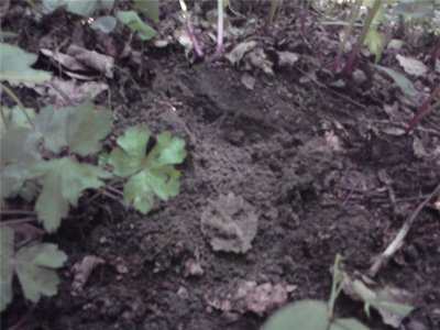 f4e476443ab6.jpg (57.26 КБ) 13059 просмотров f4e476443ab6.jpg