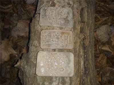 13aa4214d86d.jpg