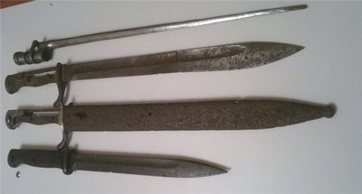 5d3b9ae99d34.jpg