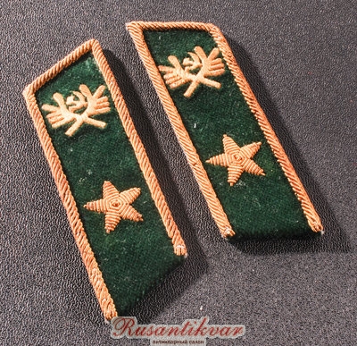петлицы-ген.дир.лесной-пром.3-класса-аверс-про.jpg