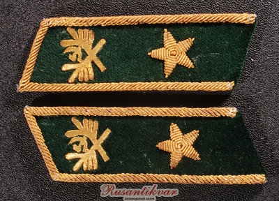петлицы-ген.дир.лесной-пром.3-класса-аверс.jpg
