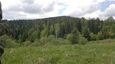 46118be692d8.jpg