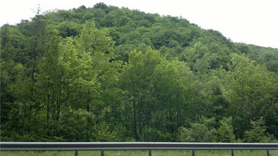 4246a39e1c88.jpg