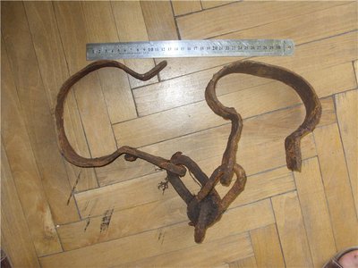 64aea2188417.jpg