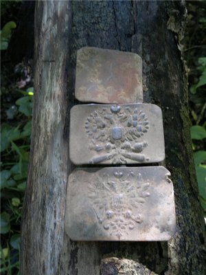 c90fdc53f2b0.jpg