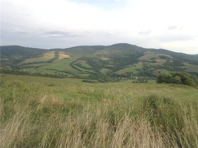 2565962cd23d.jpg