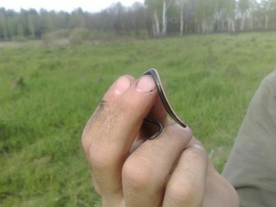 post-4851-1343421531_thumb.jpg