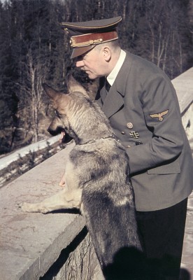26A.jpg