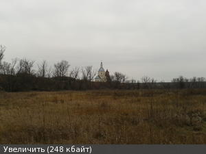 2153214m.jpg