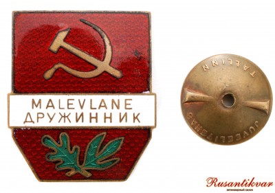 эстонский-дружинник-с-винтом.jpg