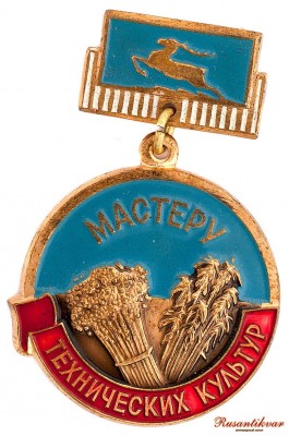 мастеру-технических-культур-аверс.jpg