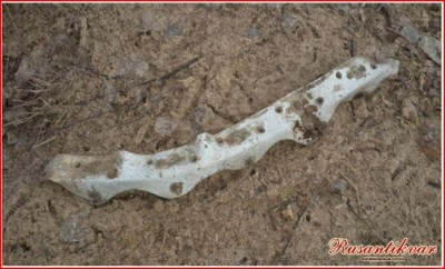 6.Первая деталь самолёта, обнаруженная А. Кудрявцевым на территории охотничьей базы в декабре 2015 года..JPG