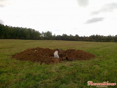 5.Воронка с останками воинов, запаханная на поле....jpg
