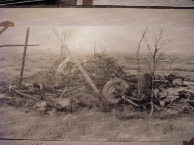 1.Обломки Пе-2 на болоте Тушинский мох.JPG