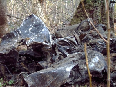 7. Обломки самолёта.jpg