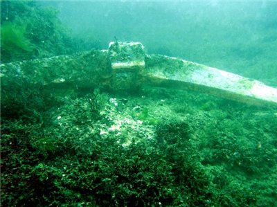 44c002200a36[1].jpg