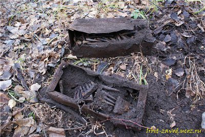 2c1ae572952d[1].jpg