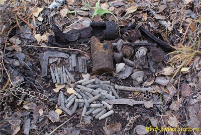 c3d690b48106[1].jpg